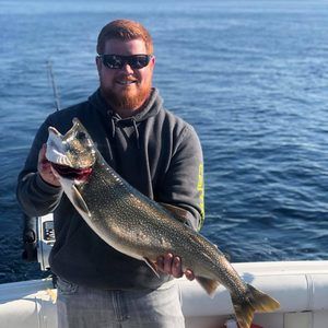 Meet your Posher, David